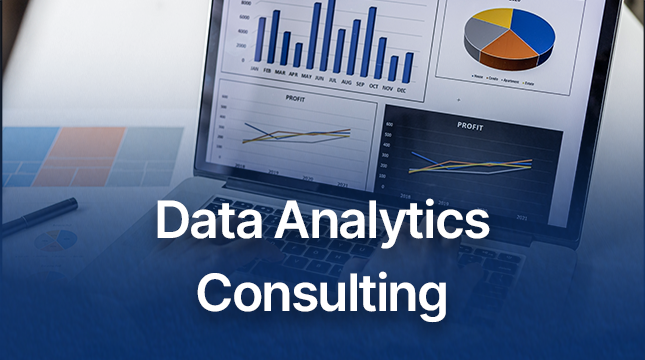 Data analytics consulting